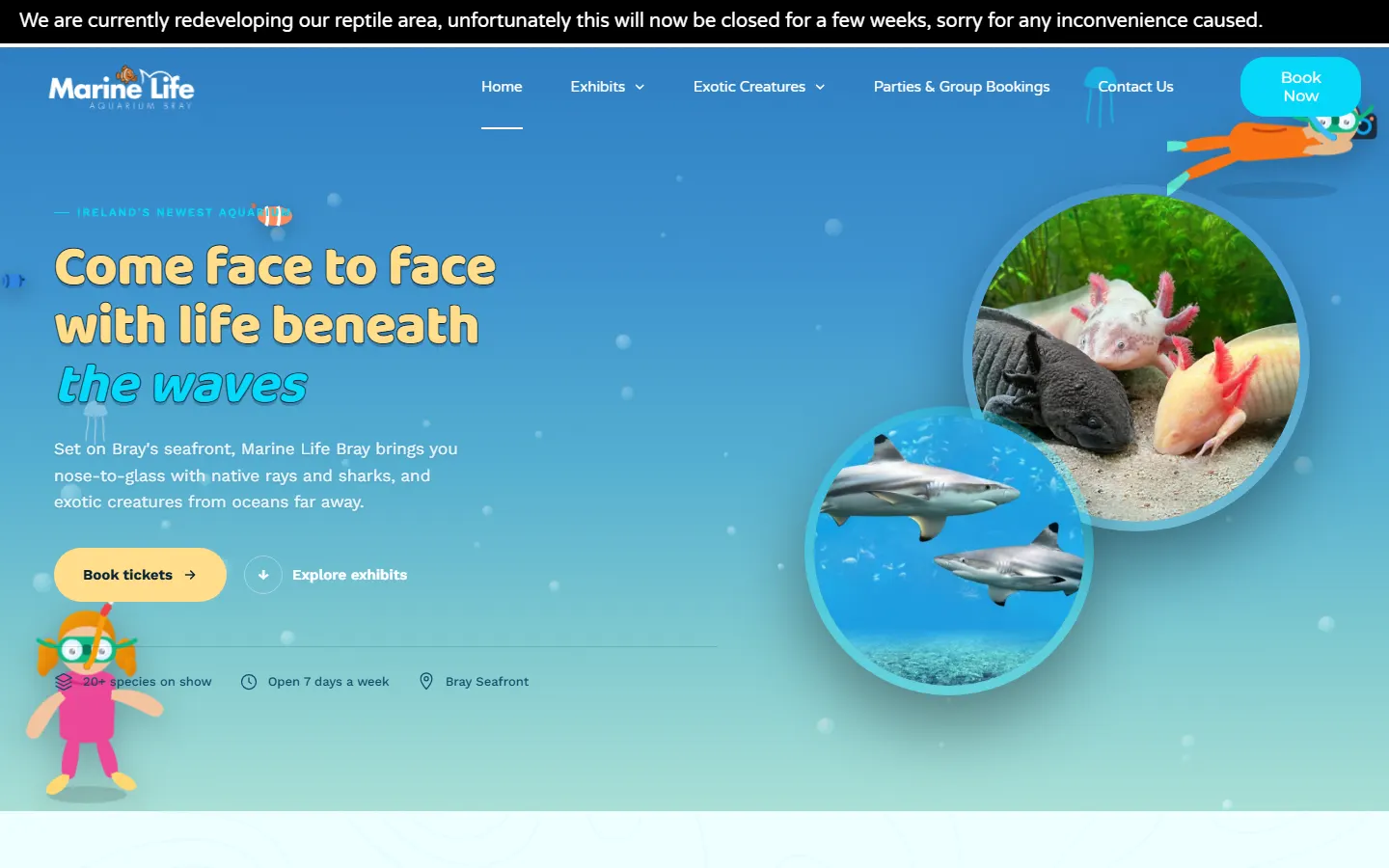 Marine Life Bray website